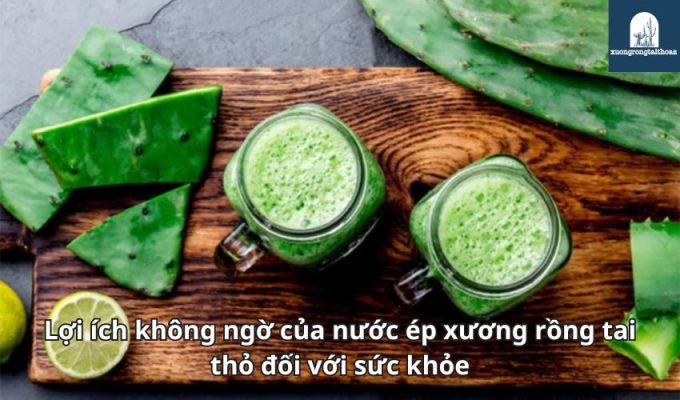 Lợi ích không ngờ của nước ép xương rồng tai thỏ đối với sức khỏe